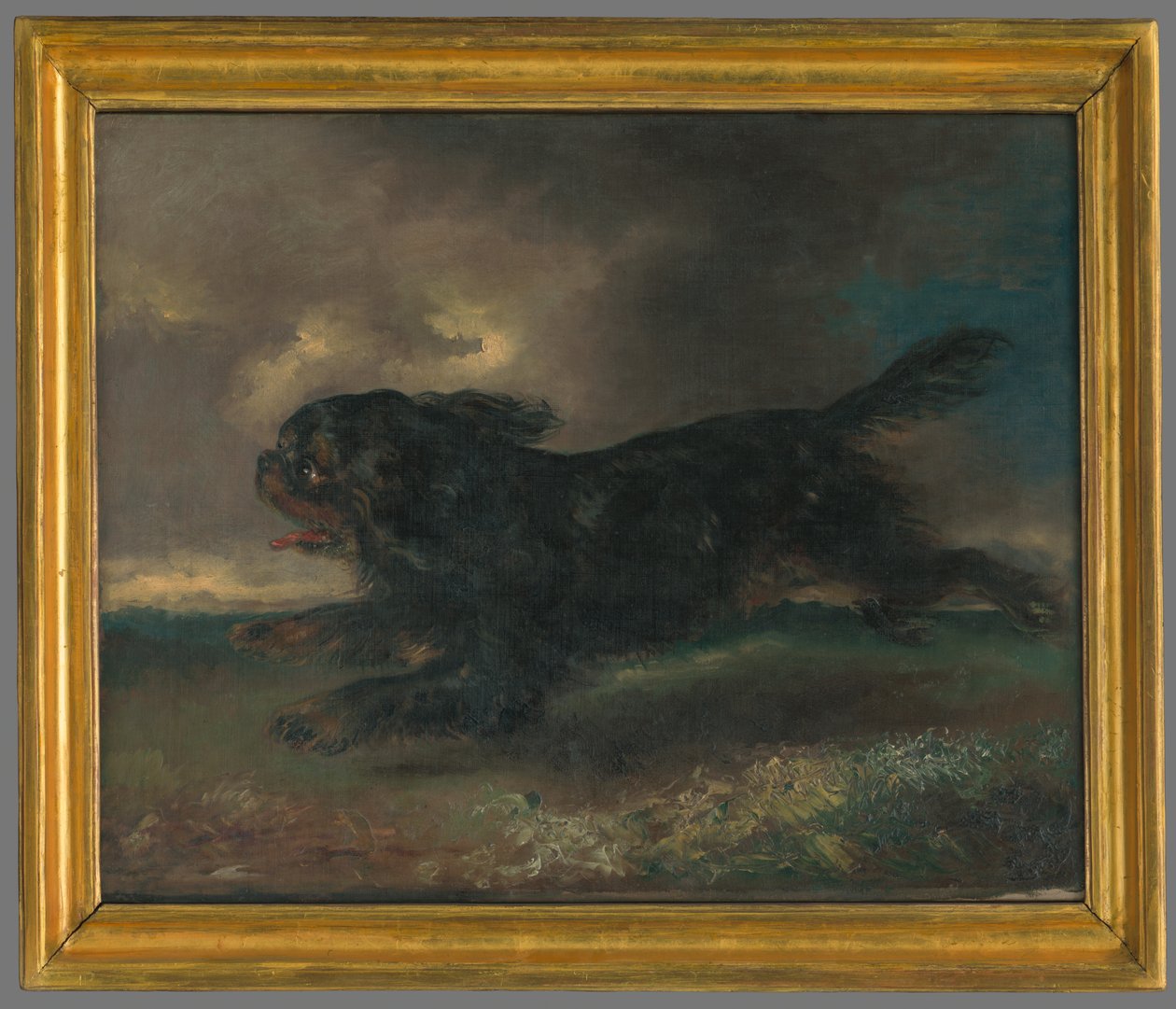 Cane che corre da Franz Krüger