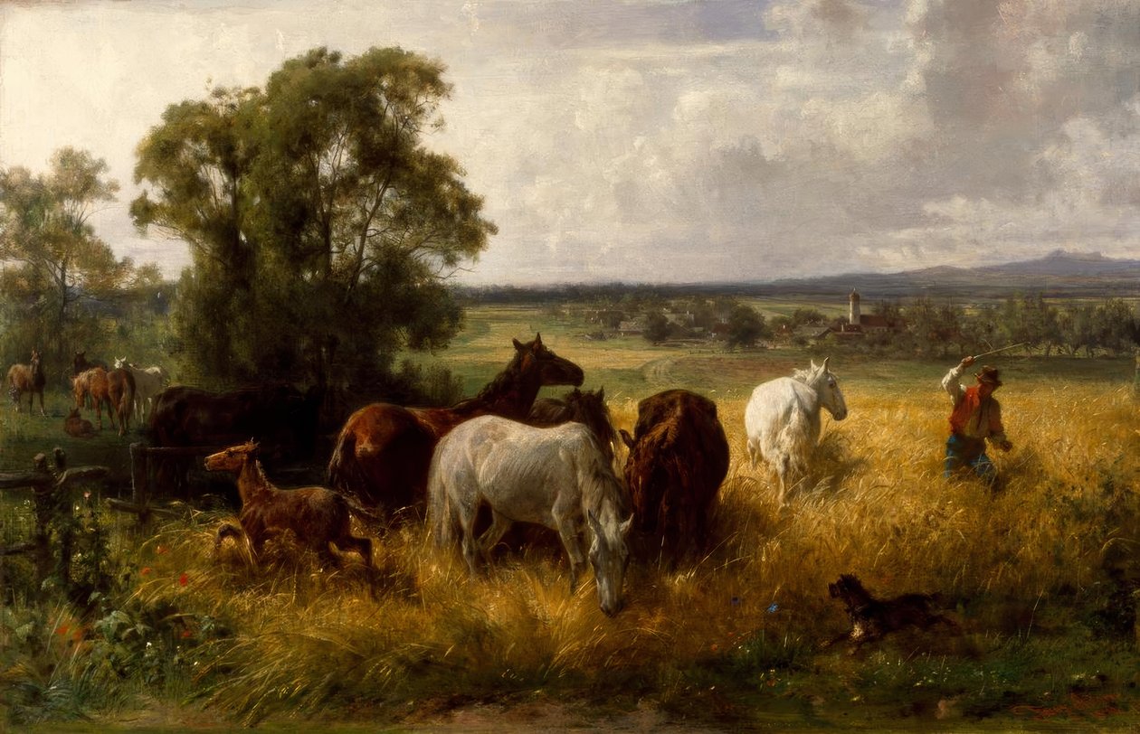 F.Adam, Oltre il recinto da Franz Adam