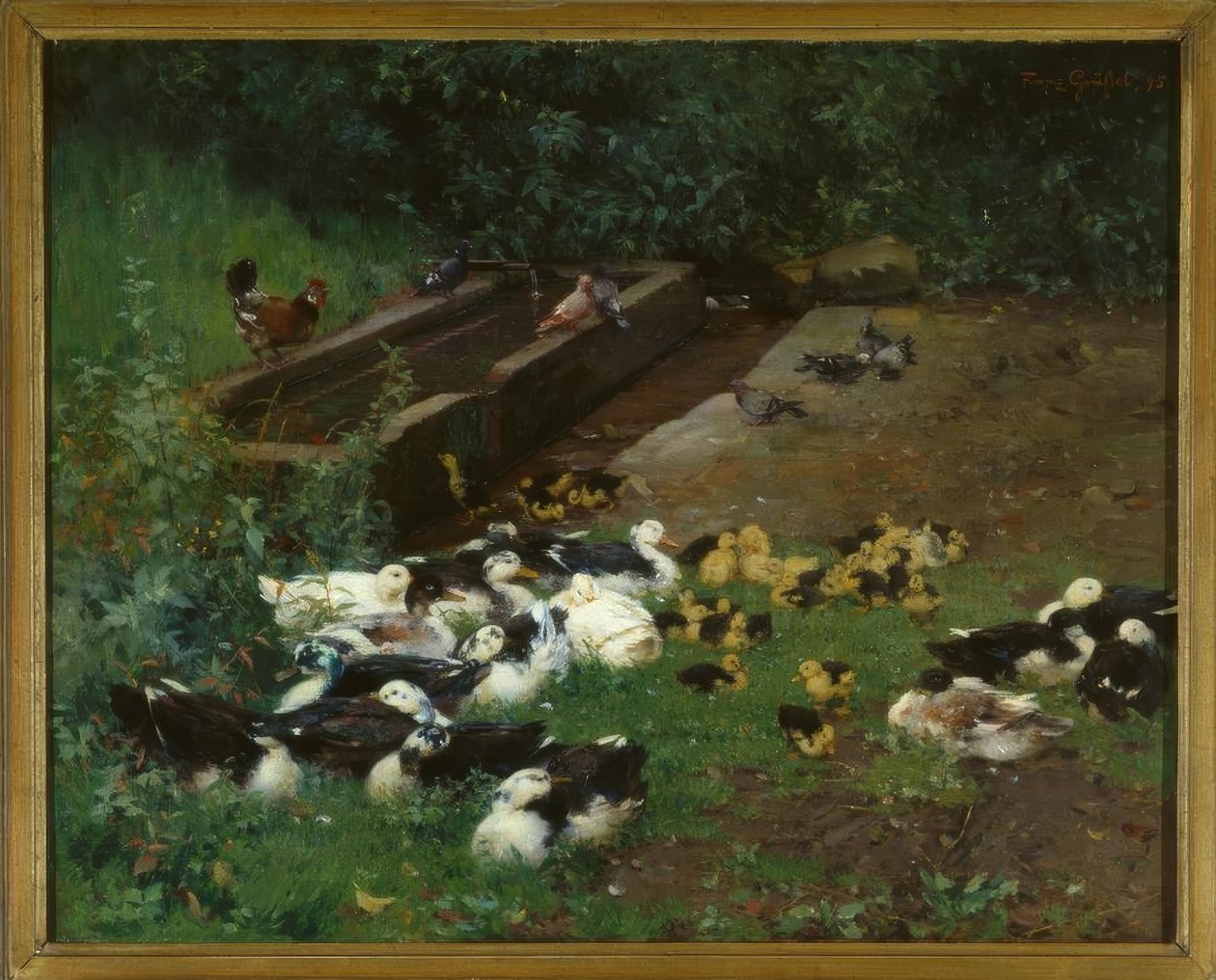 Famiglie di anatre da Franz Grassel