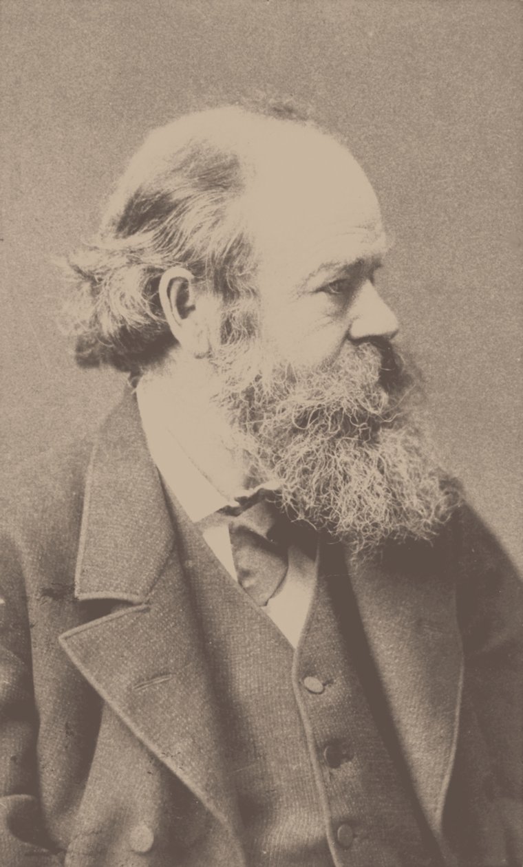 Ritratto del compositore Robert von Hornstein 1833-1890 da Franz Hanfstaengl