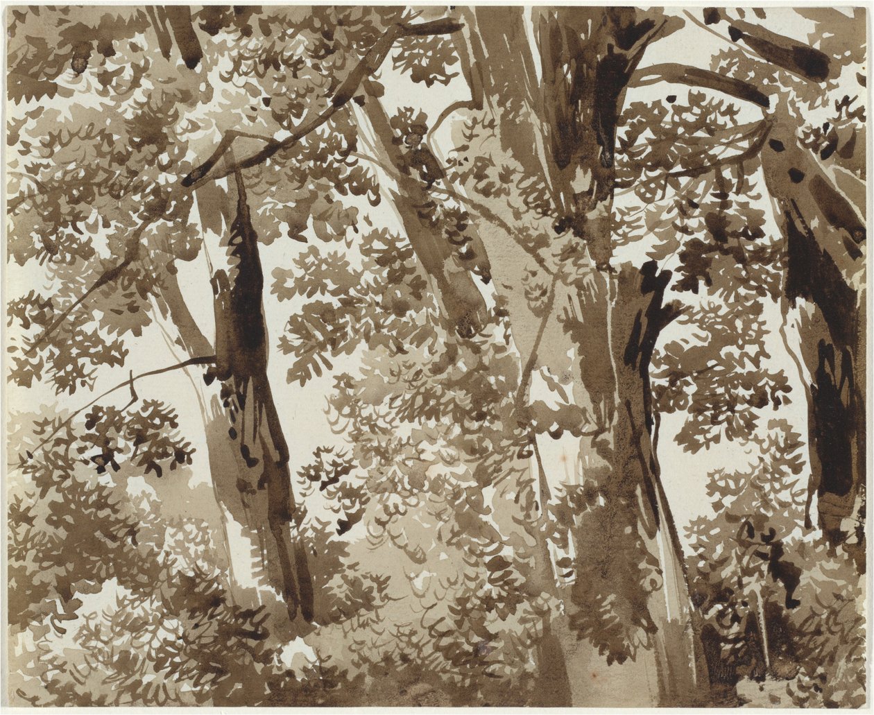 Alberi con fitta vegetazione da Franz Innocenz Josef Kobell