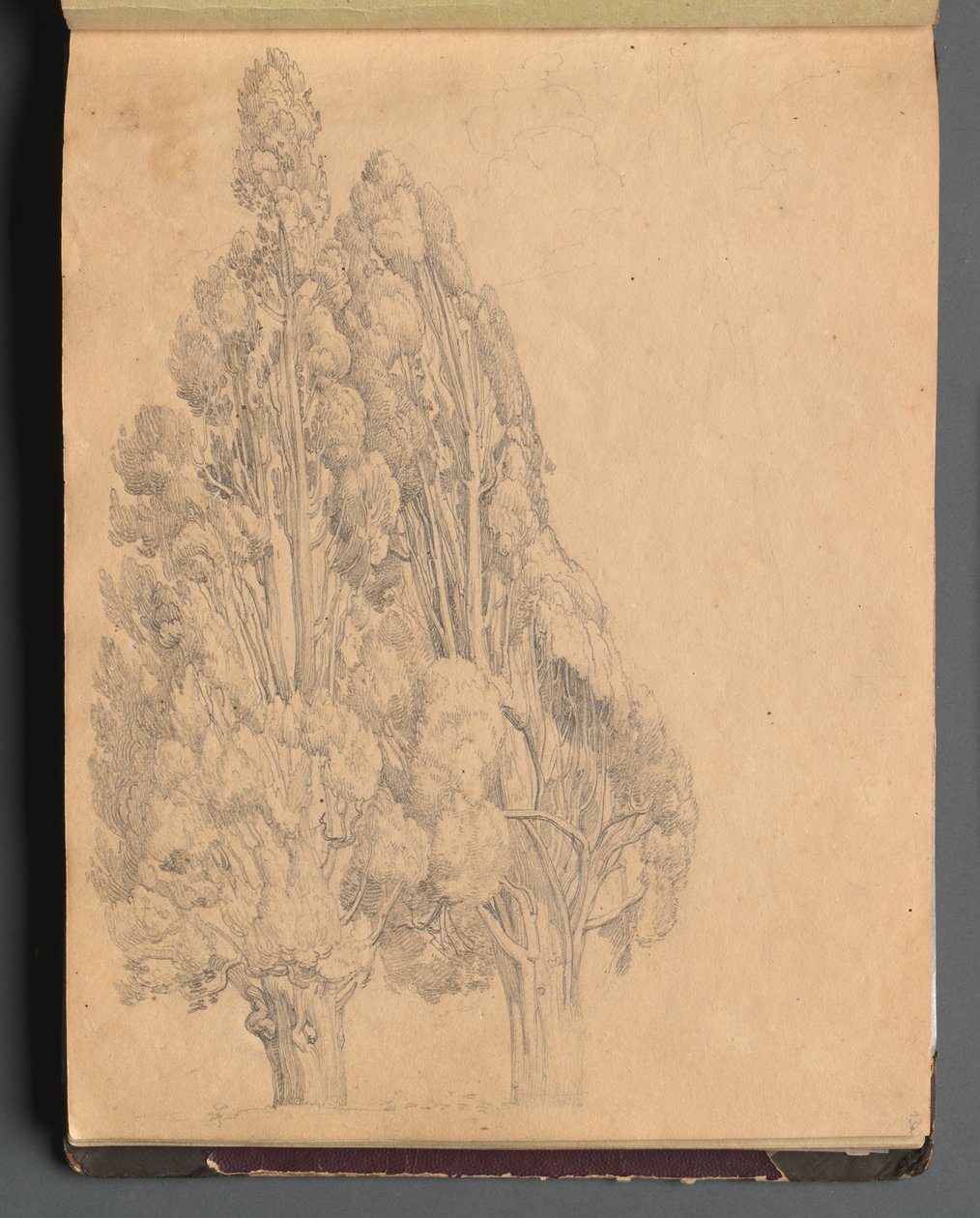 Album con vedute di Roma e dintorni, studi di paesaggio, pagina 13a: Alberi da Franz Johann Heinrich Nadorp