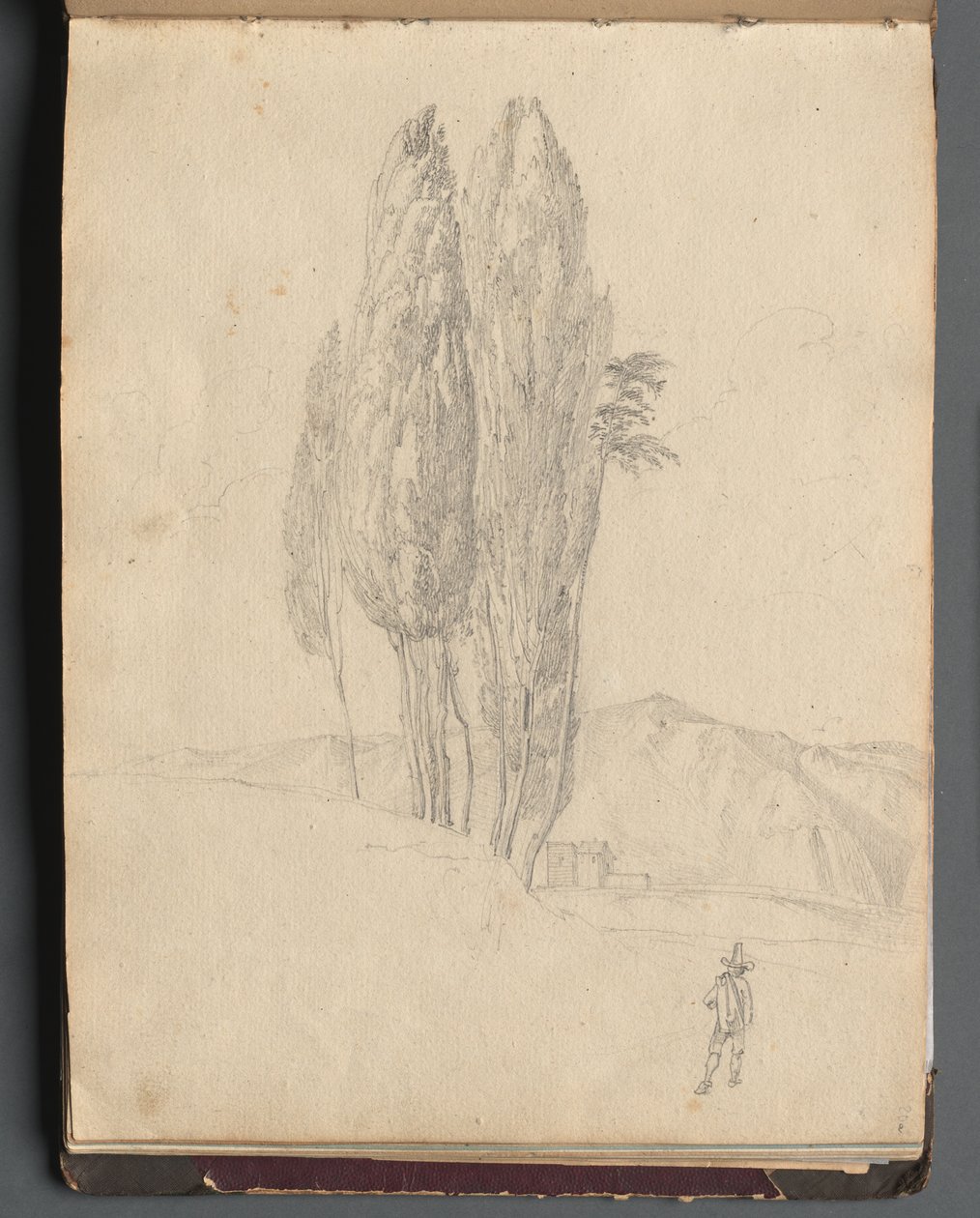 Album con Vedute di Roma e Dintorni, Studi di Paesaggio, pagina 20a: Alberi da Franz Johann Heinrich Nadorp