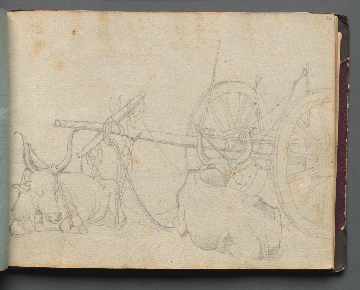 Album con Vedute di Roma e Dintorni, Studi di Paesaggio, pagina 37a: Buoi e Carro da Franz Johann Heinrich Nadorp