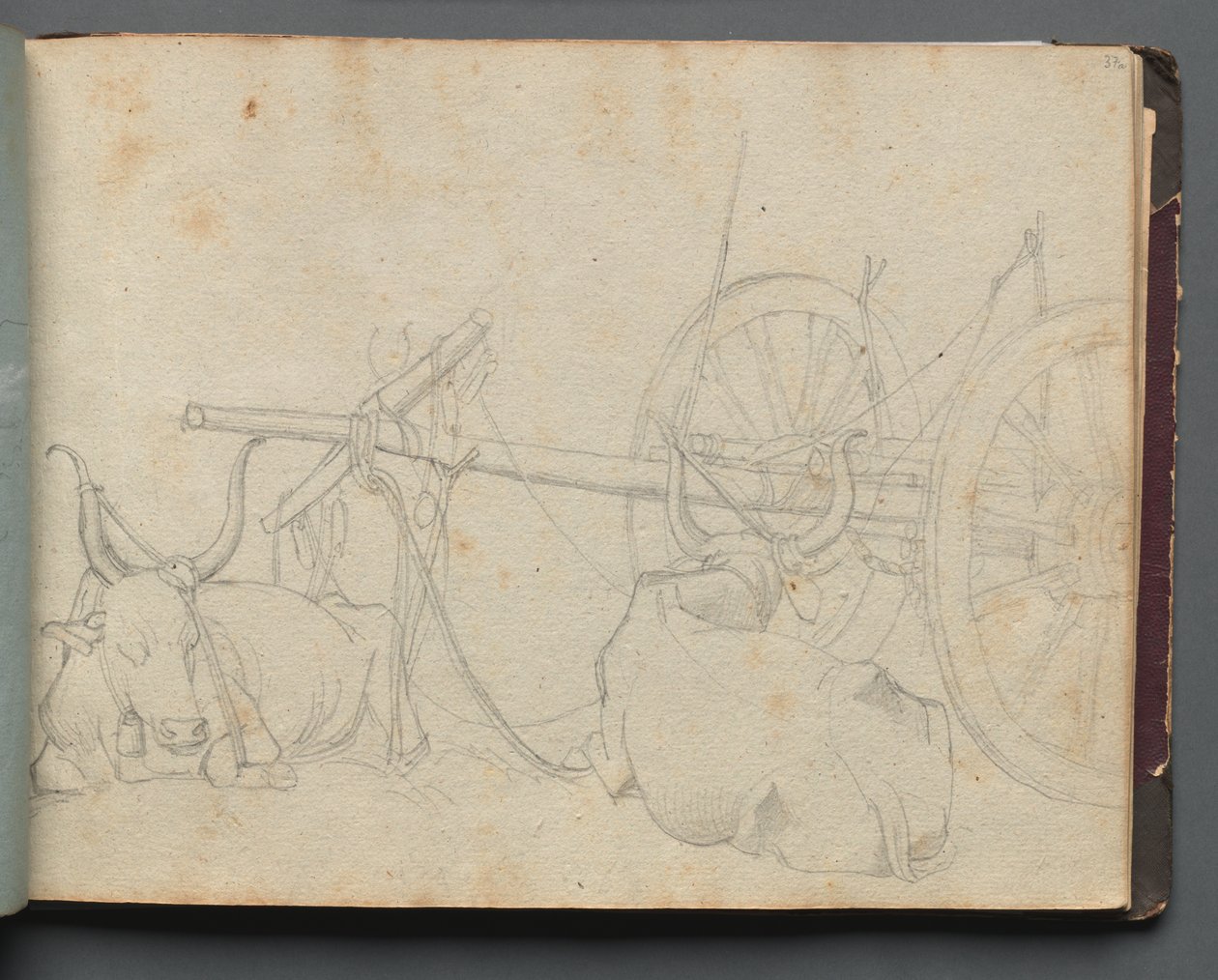 Buoi e carro da Franz Johann Heinrich Nadorp