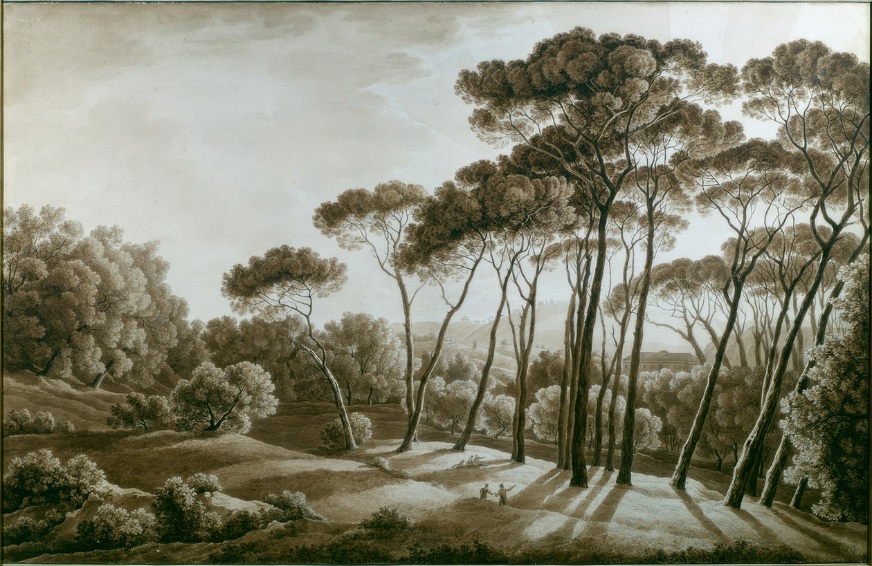 I pini di Villa Doria Pamphili da Franz Kaisermann