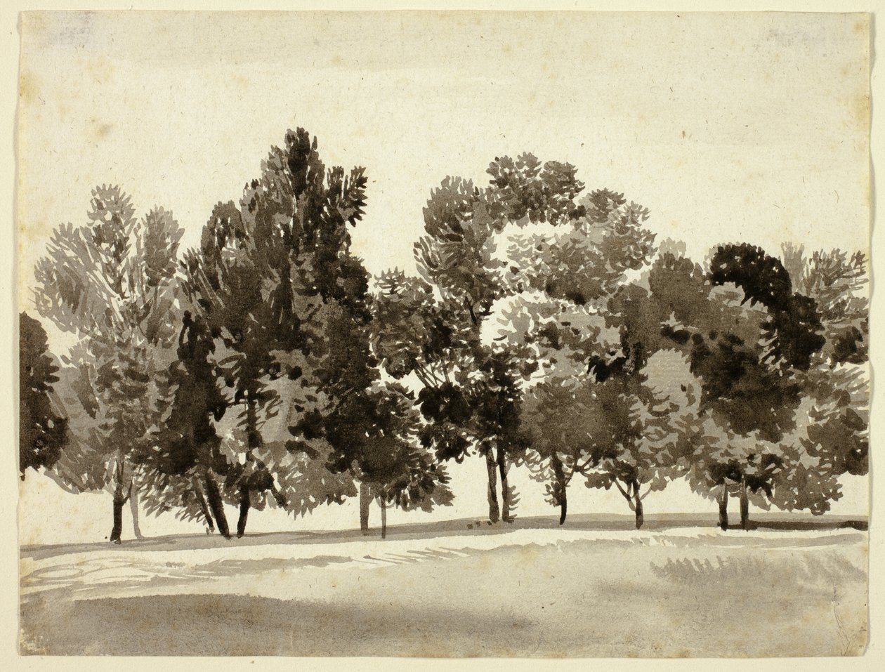 Boschetto di alberi frondosi da Franz Kobell