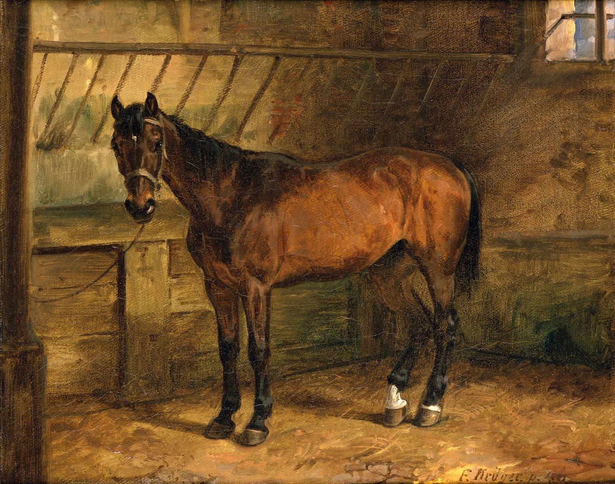 Cavallo nella stalla da Franz Krüger