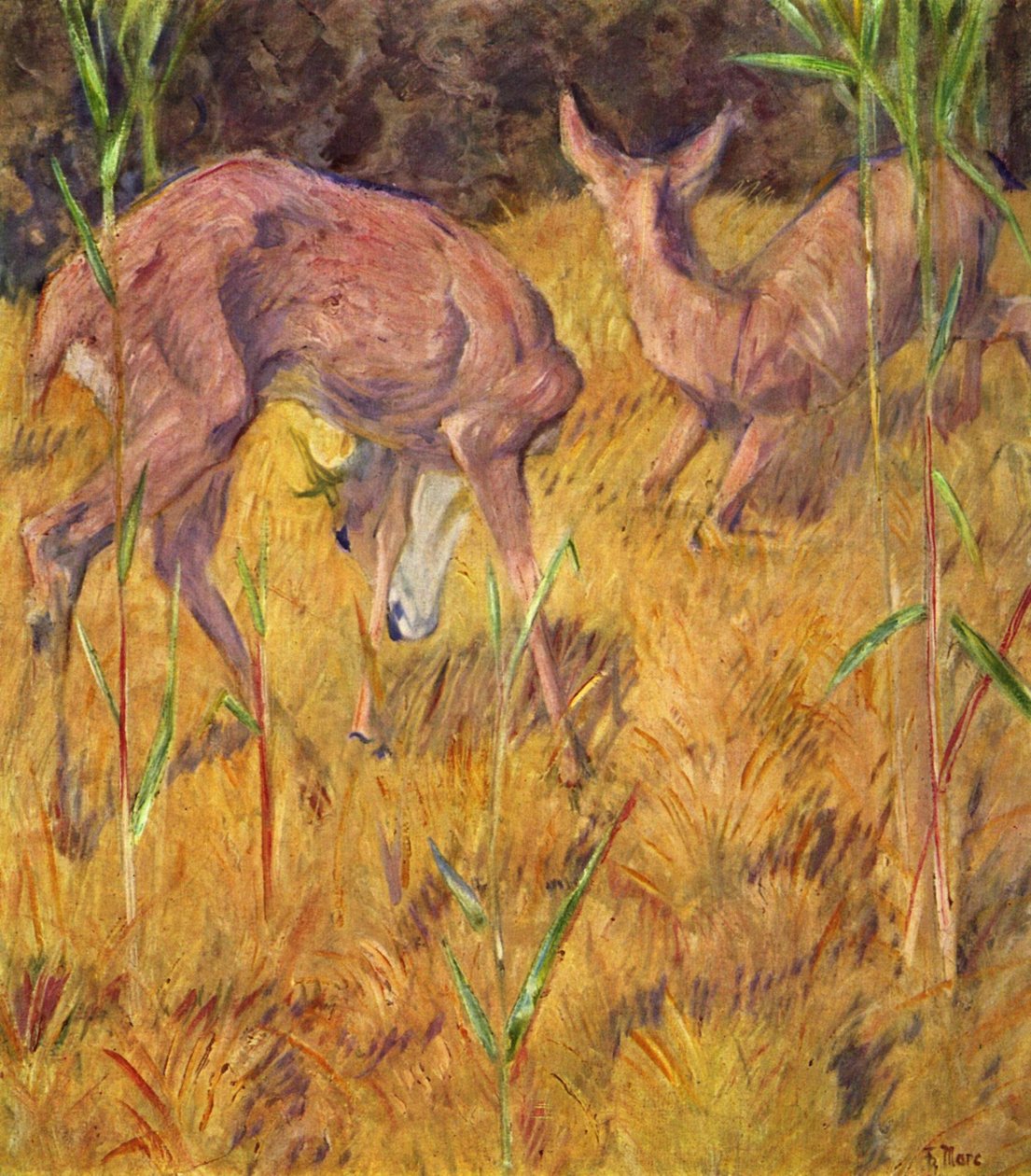 Cervo tra i canneti da Franz Marc