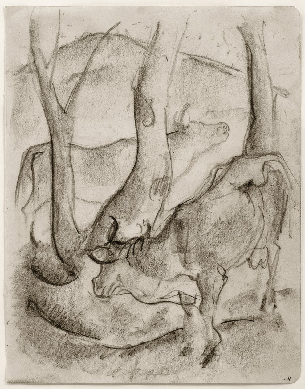 Due mucche sotto gli alberi da Franz Marc