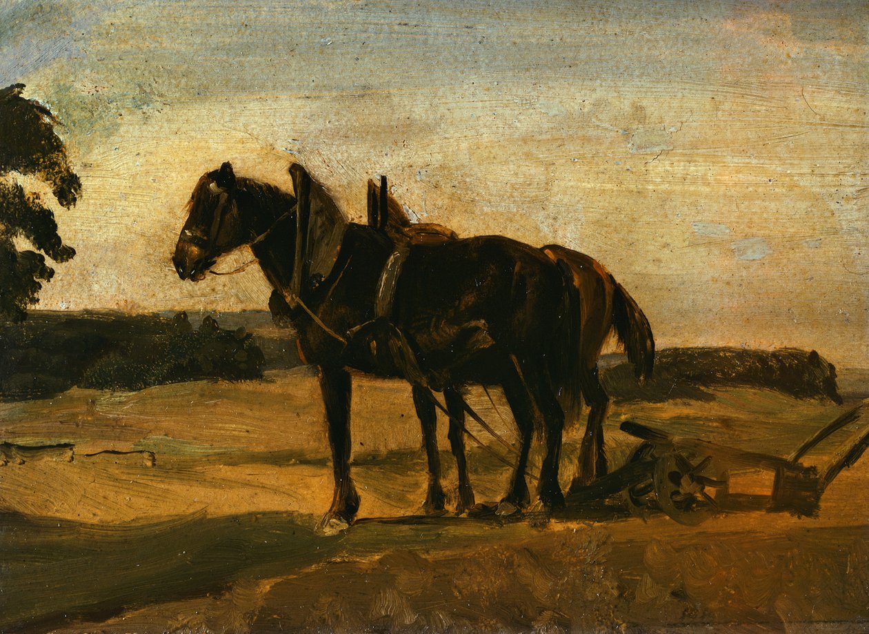 Cavalli davanti all