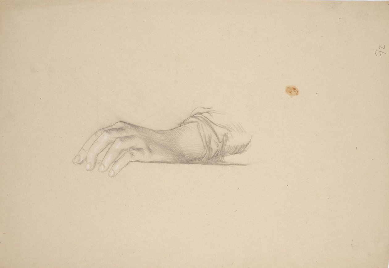 Studio manuale da Franz von Matsch