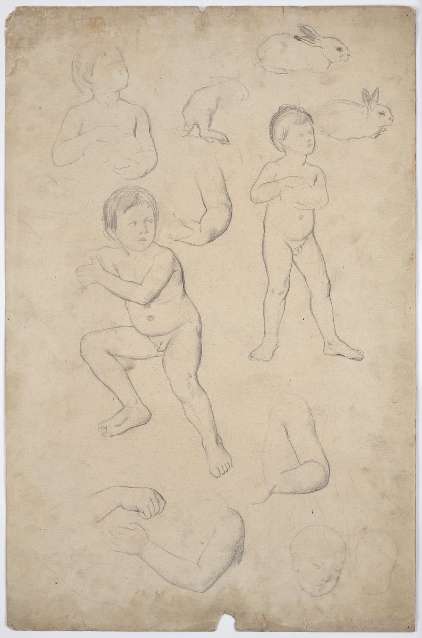 Studi di nudo e di testa di bambini, 2 conigli da Franz von Matsch