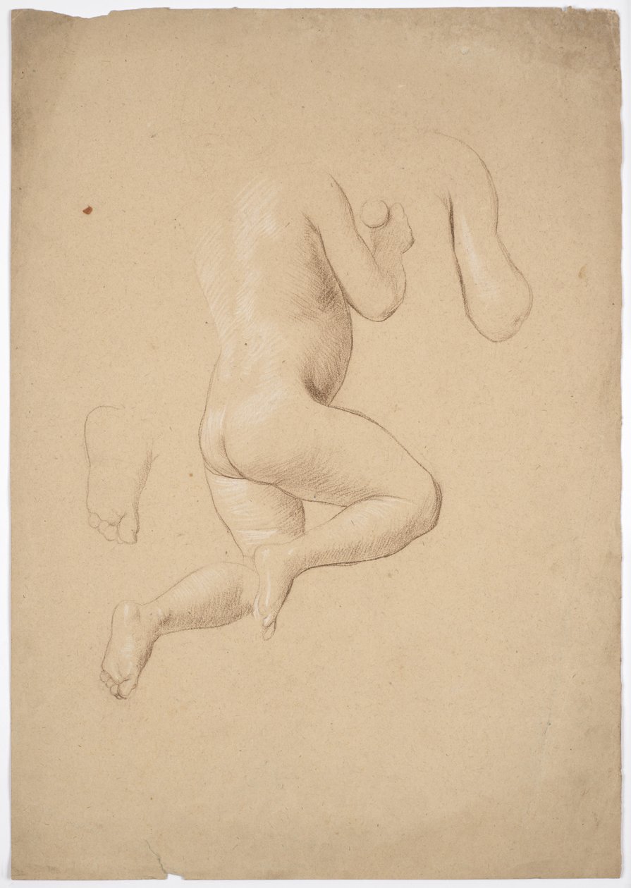 Studio della legge sui bambini da Franz von Matsch