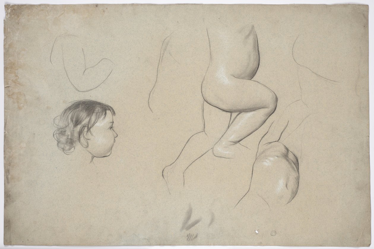 Studi di parti del corpo dei bambini e della testa di un bambino di profilo da Franz von Matsch