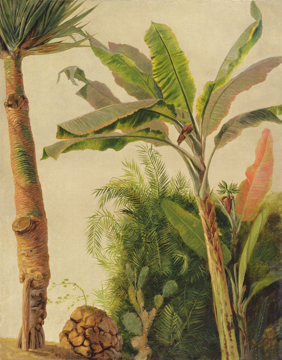 Albero di banane, c.1865 da Frederic Edwin Church
