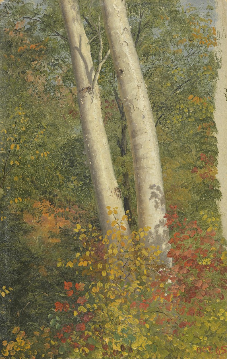 Betulle in autunno da Frederic Edwin Church