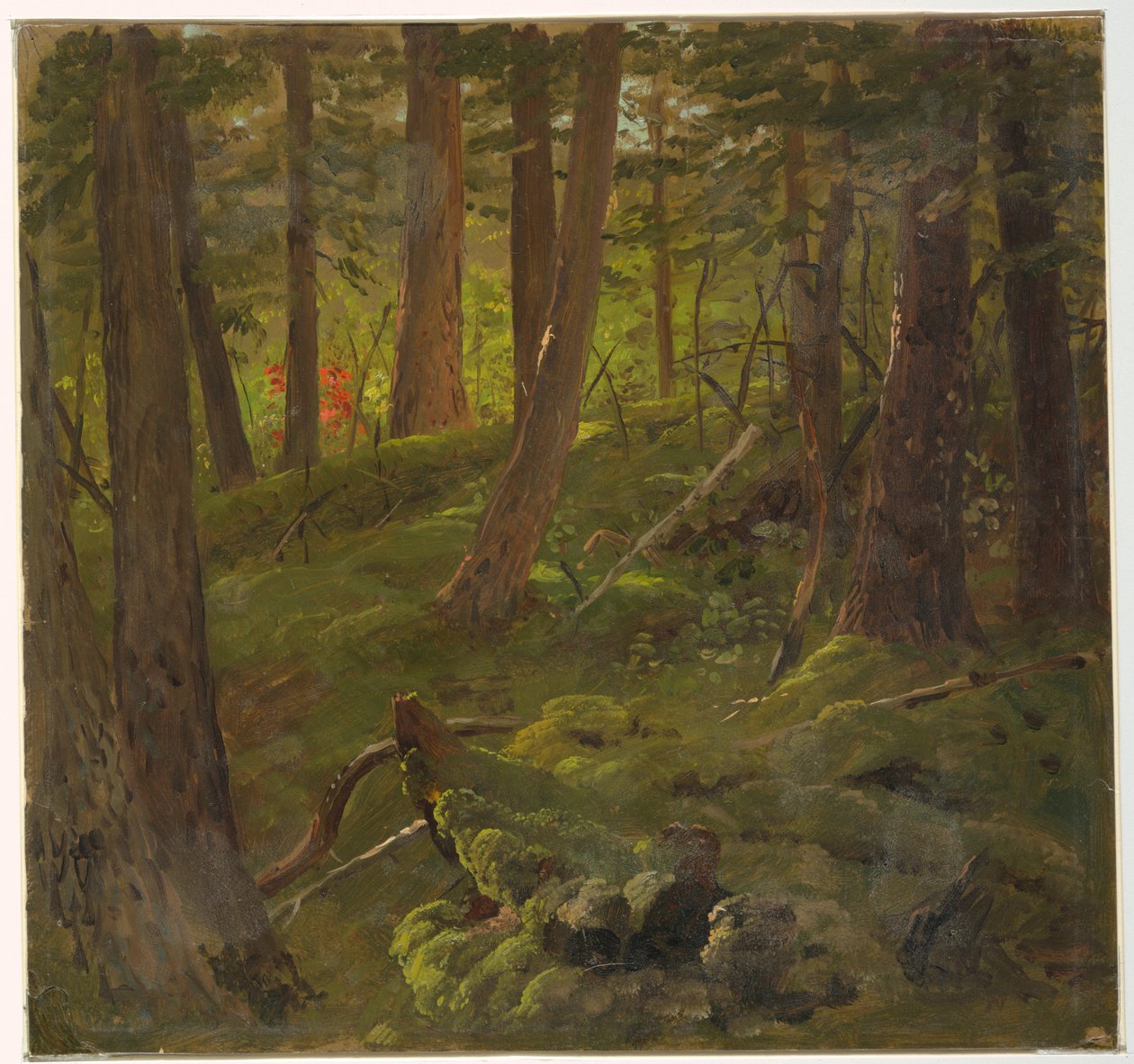 Disegno, Vegetazione della giungla, 1865 da Frederic Edwin Church