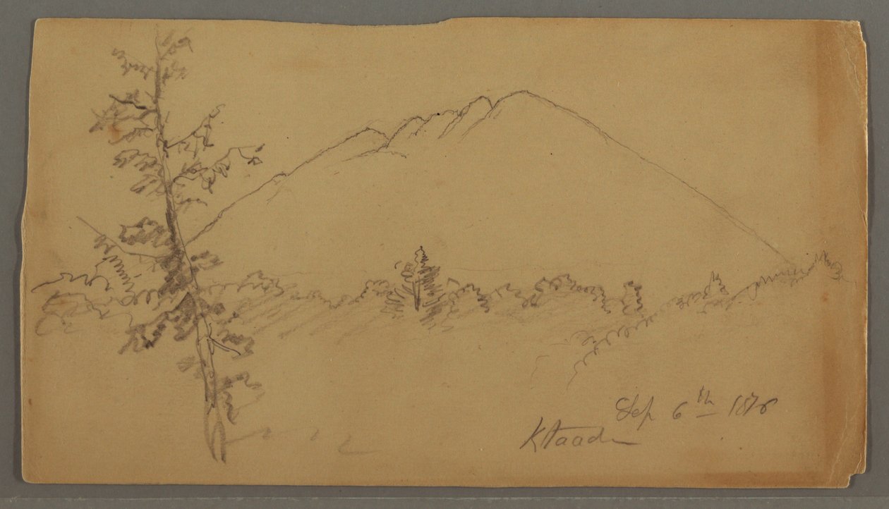 Disegno, Monte Katahdin, boschi, albero in primo piano da Frederic Edwin Church