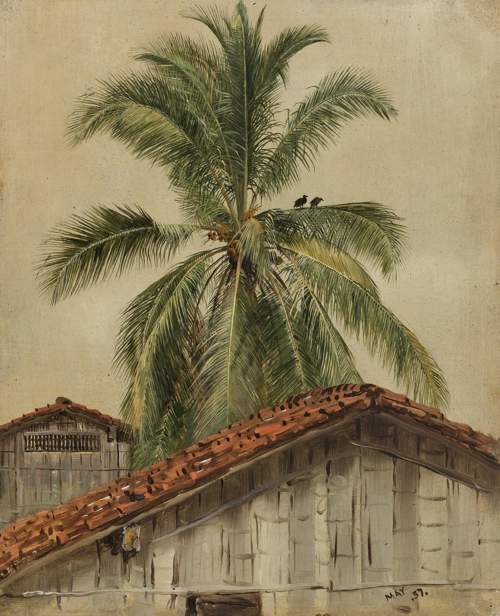 Palme e tetti, Ecuador da Frederic Edwin Church
