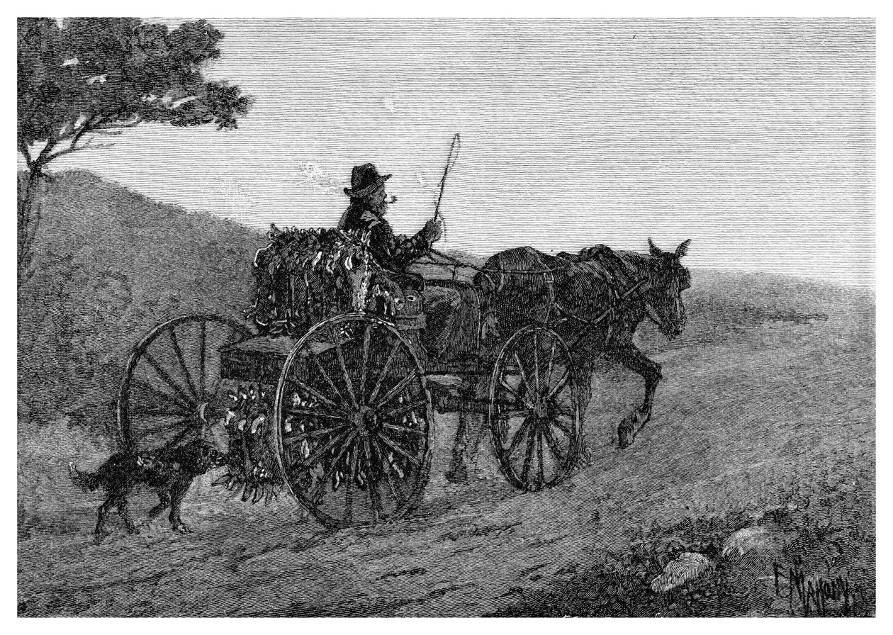 Un cacciatore di conigli di Colac, 1886 da Frederic B. Schell