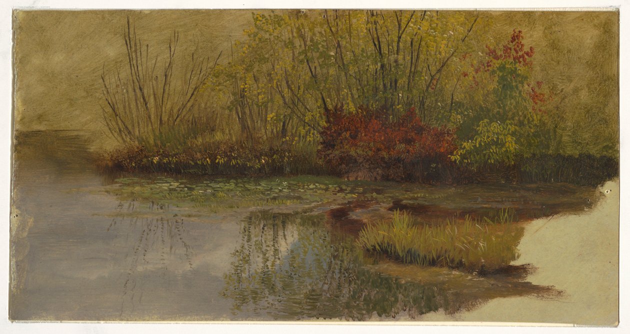 Un angolo di uno stagno da Frederic Edwin Church