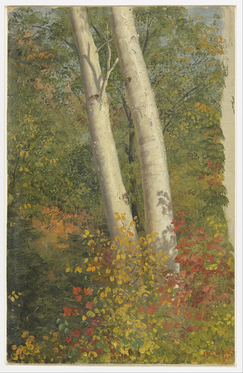 Betulle in autunno da Frederic Edwin Church