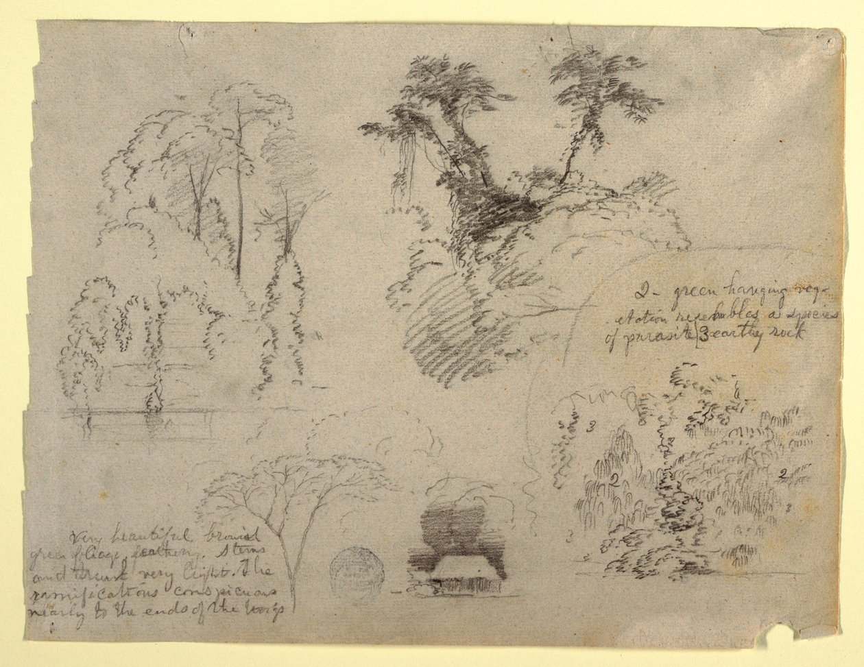Studi botanici e una casa, probabilmente dalla Colombia da Frederic Edwin Church