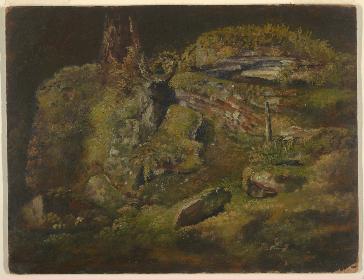 Masso nel bosco da Frederic Edwin Church