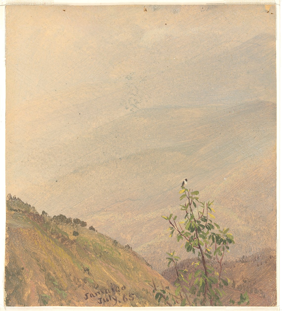 Colline lontane, Giamaica da Frederic Edwin Church