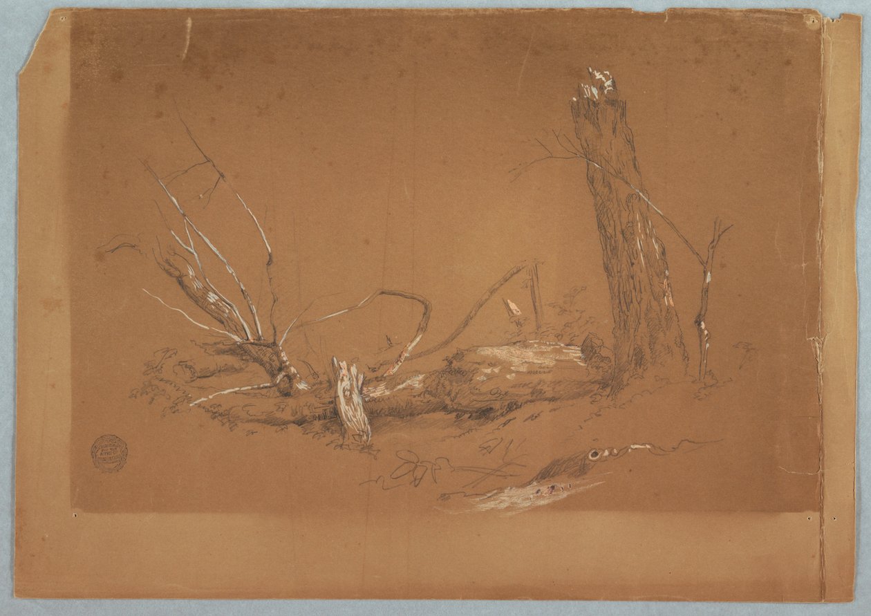Disegno, Un albero morto spezzato, 1855-65 da Frederic Edwin Church