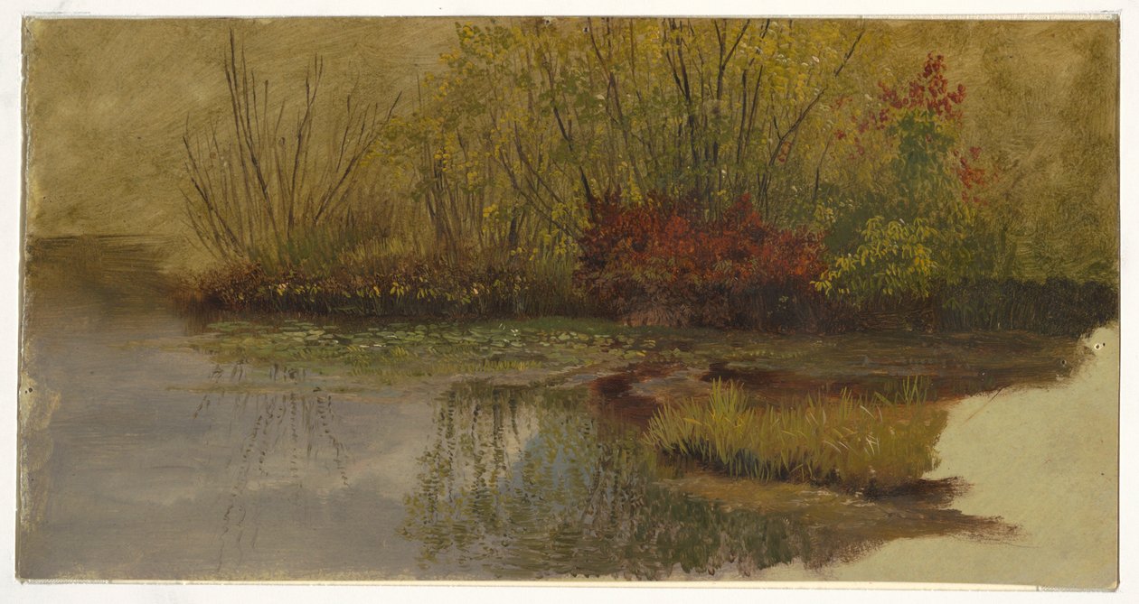 Disegno, Un angolo di stagno, 1860 ca. da Frederic Edwin Church