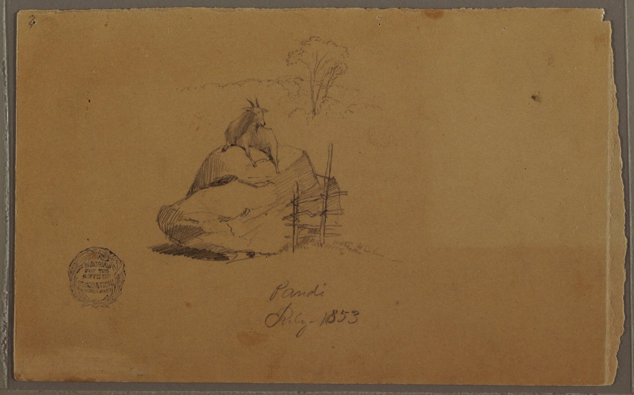 Disegno, Una capra a Pandi, Colombia, luglio 1853 da Frederic Edwin Church