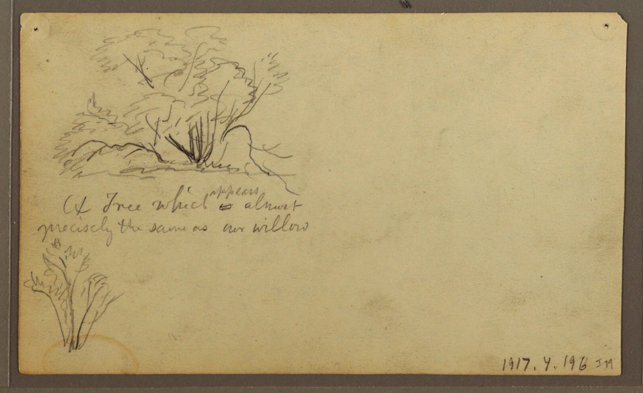 Disegno, Una capanna sulle poste, Guayaquil, Ecuador, maggio 1857 da Frederic Edwin Church