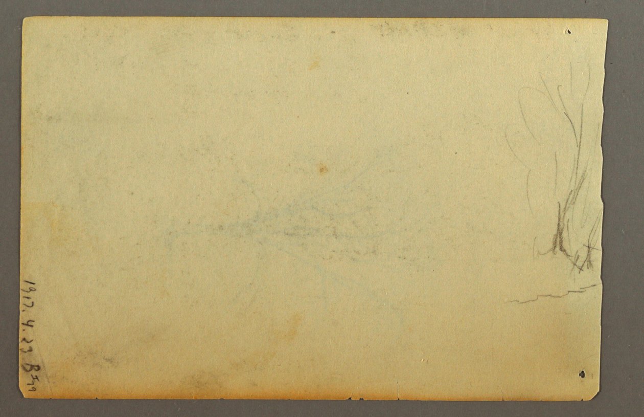 Disegno, Un albero senza foglie, febbraio 1845 da Frederic Edwin Church