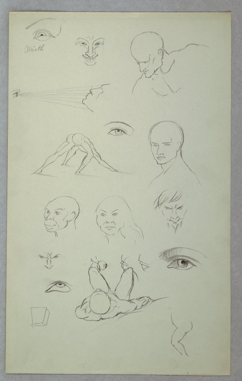 Disegno, Studi anatomici, 1865-70 da Frederic Edwin Church