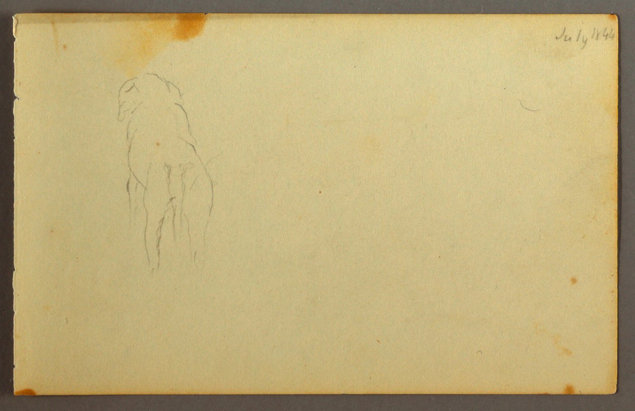 Disegno, Animale, dal retro, 1844 da Frederic Edwin Church