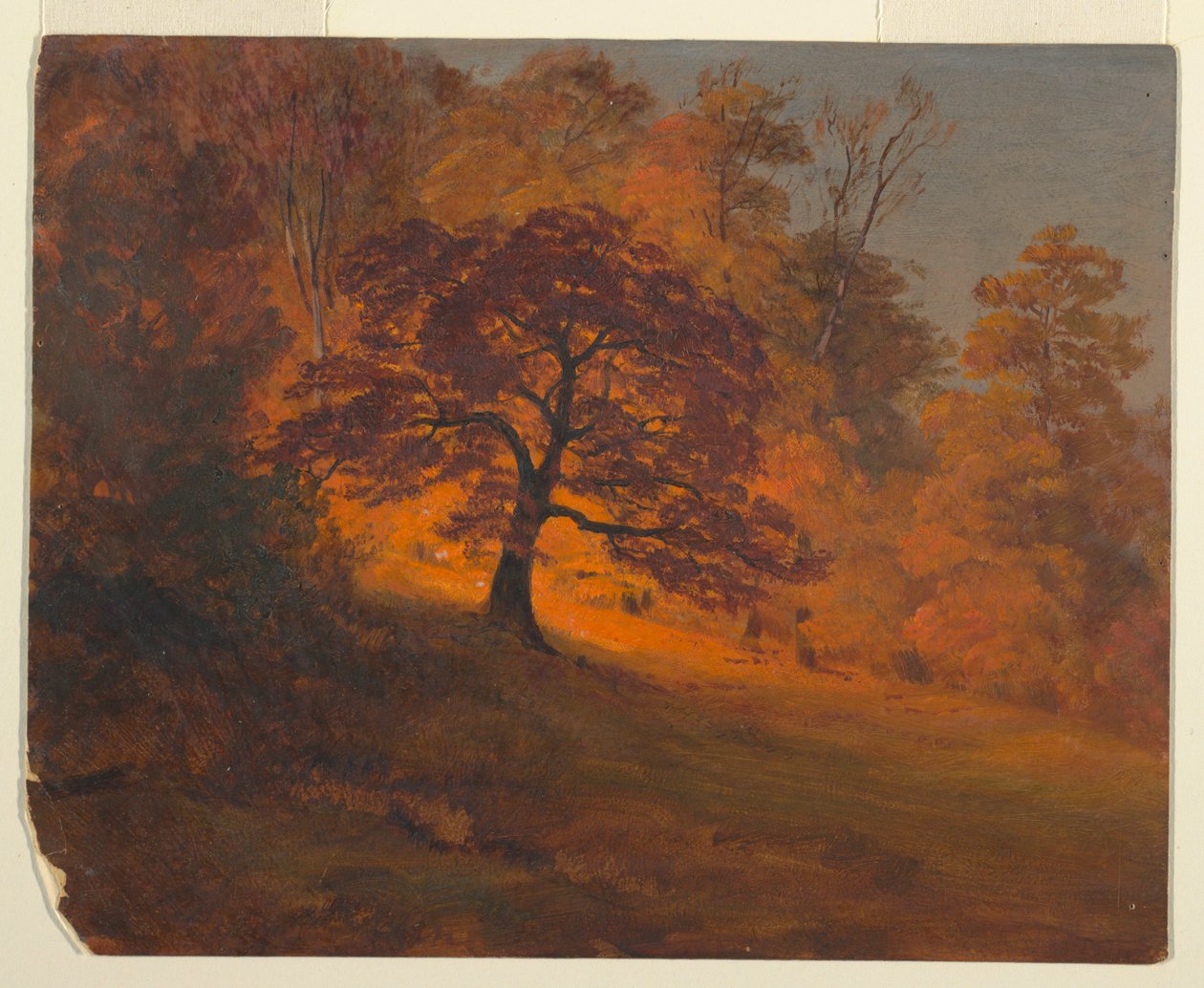 Disegno, Fogliame d