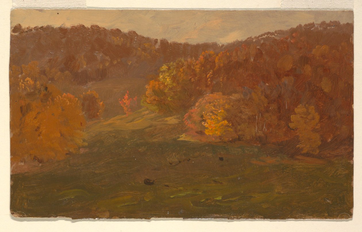 Disegno, Paesaggio autunnale (Carolina del Nord), 1865-70 da Frederic Edwin Church