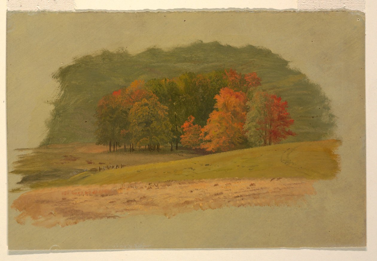 Disegno, Paesaggio autunnale, 1860-70 da Frederic Edwin Church