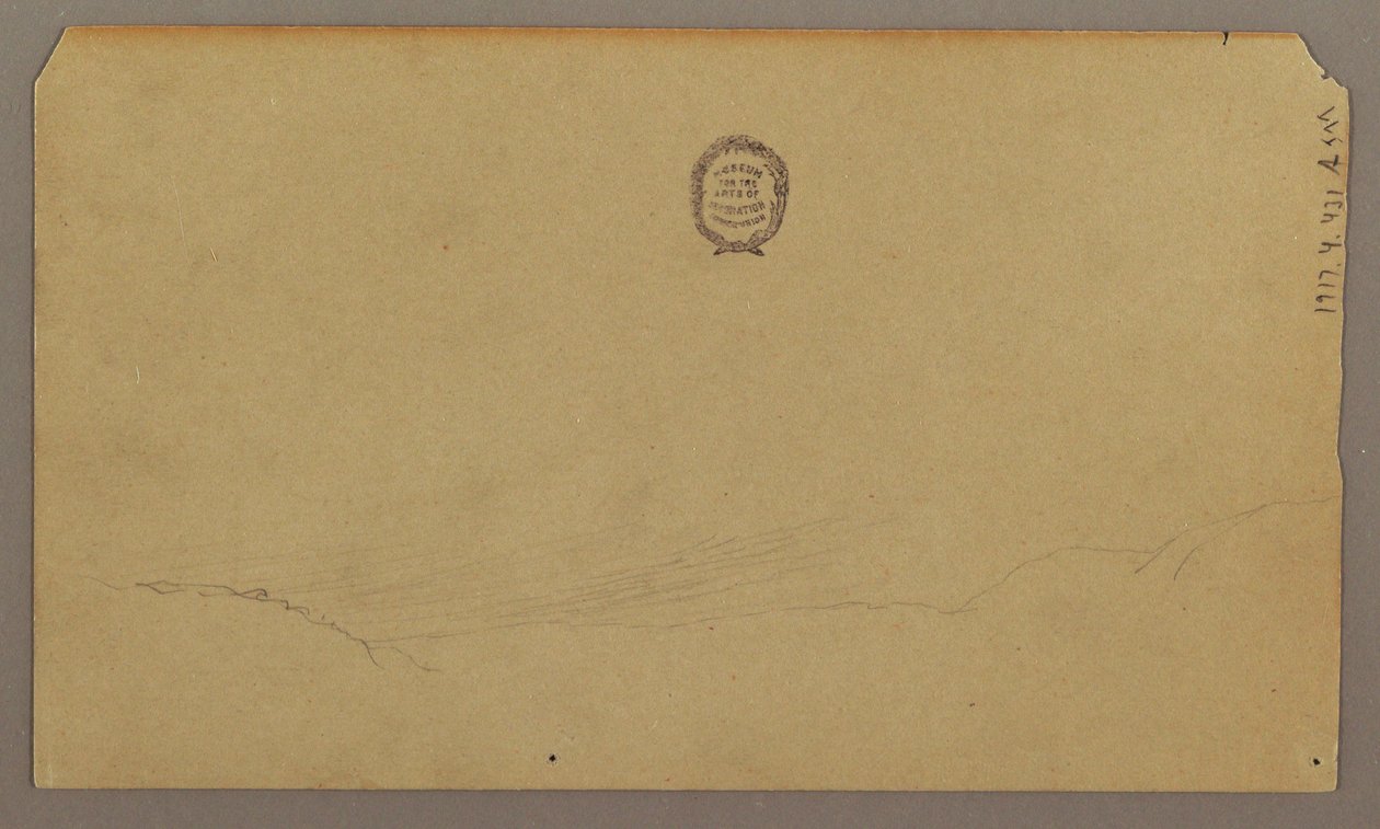 Disegno, schizzi botanici, agosto 1865 da Frederic Edwin Church