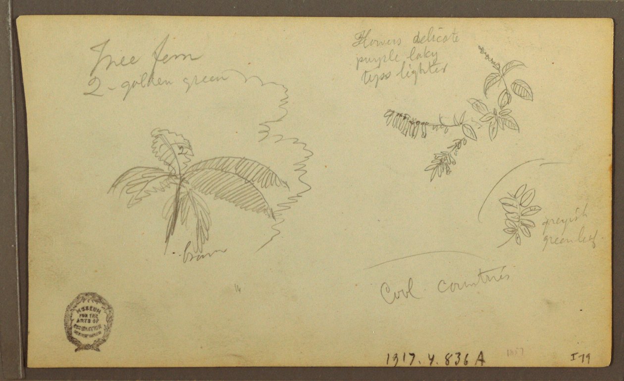 Disegno, Schizzi botanici; verso: Schizzi botanici, 1857 da Frederic Edwin Church