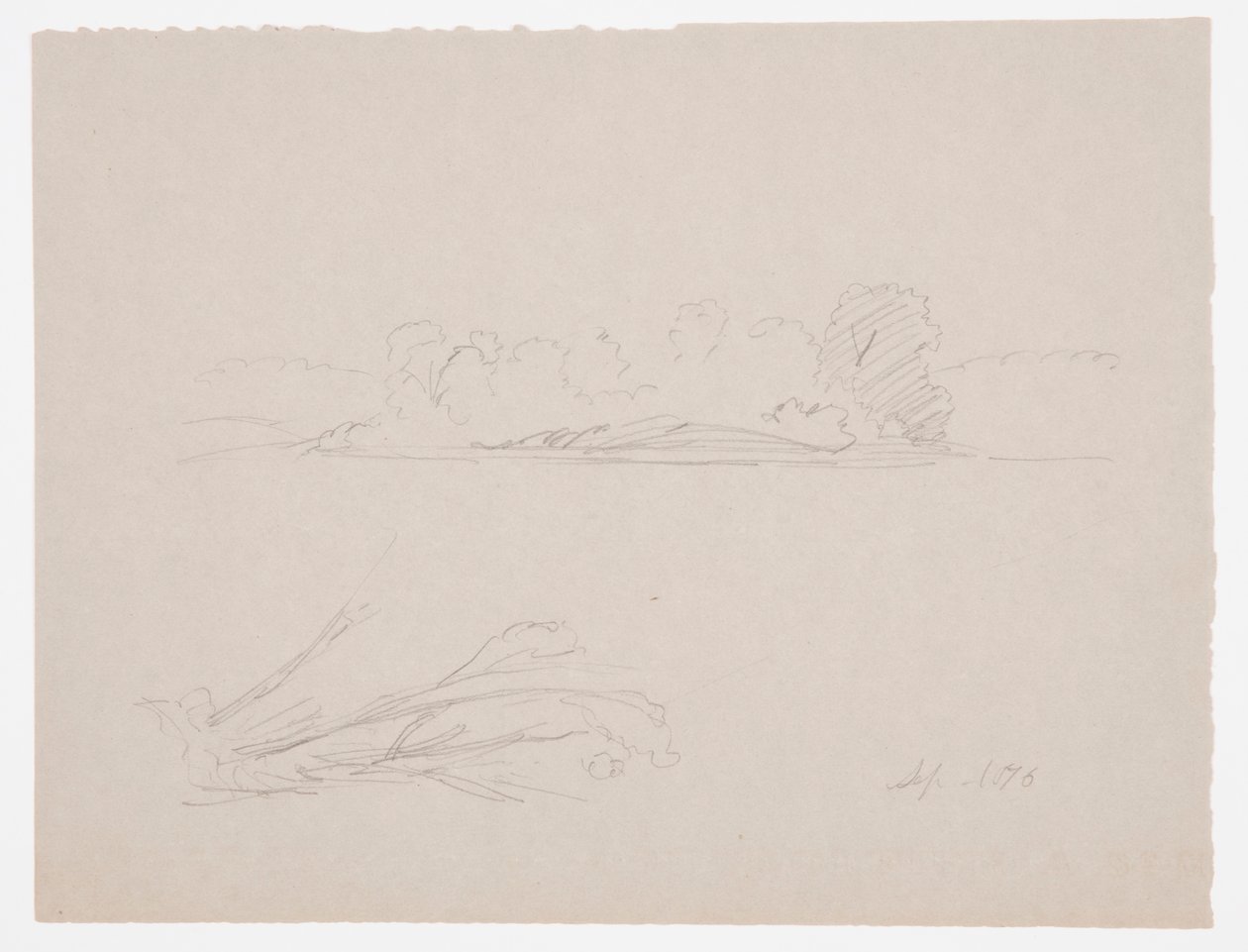 Disegno, Schizzi botanici: paesaggio, alberi in riva al mare, settembre 1876 da Frederic Edwin Church