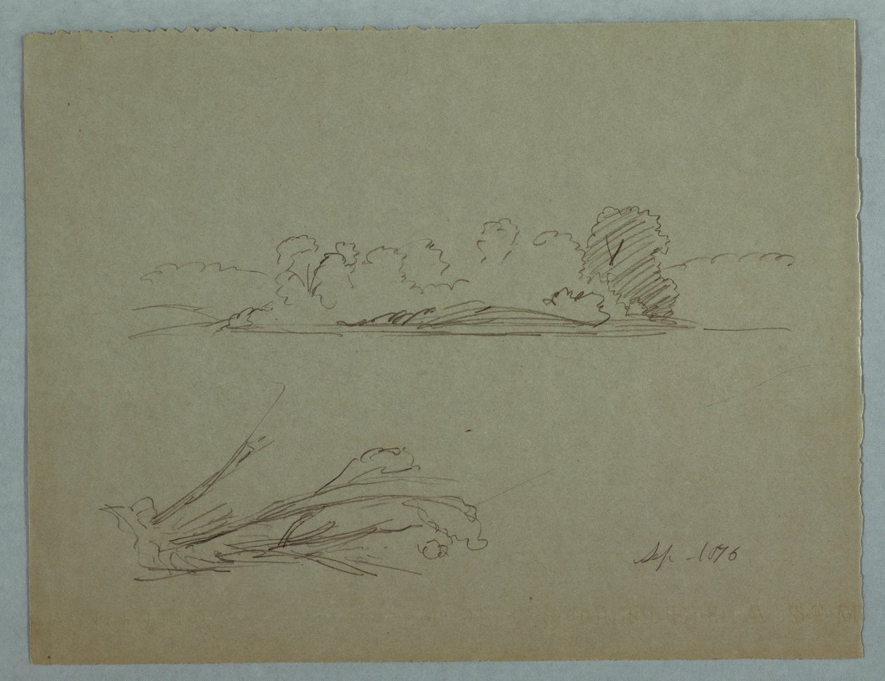 Disegno, Schizzi botanici: paesaggio, alberi in riva al mare, settembre 1876 da Frederic Edwin Church