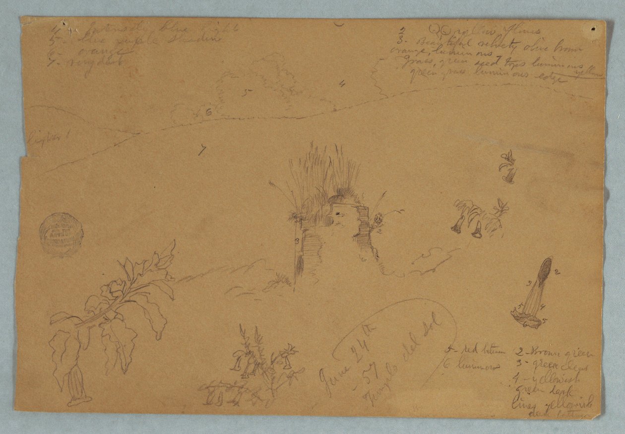 Disegno. Schizzi botanici e di nuvole vicino a Quito, Ecuador da Frederic Edwin Church