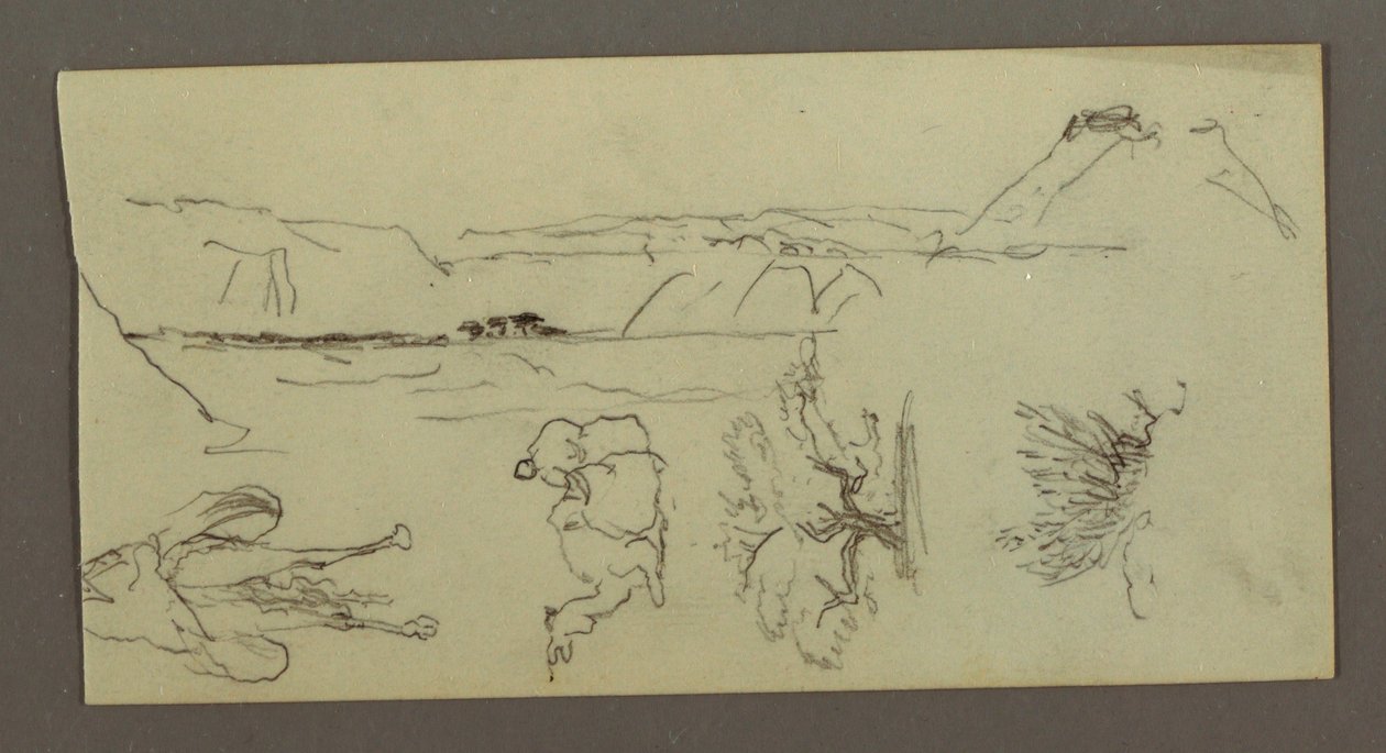 Disegno, Stuidi di cammello, cespuglio di alberi e valle, forse 1868 da Frederic Edwin Church