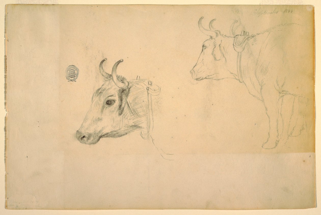Disegno, Bestiame, settembre 1844 da Frederic Edwin Church