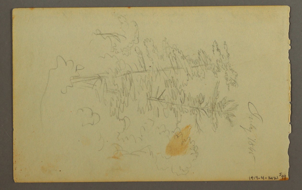 Disegno, Studio di nuvola, 1845 da Frederic Edwin Church