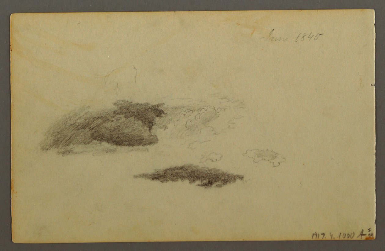 Disegno, betulla deperita, 1844 da Frederic Edwin Church