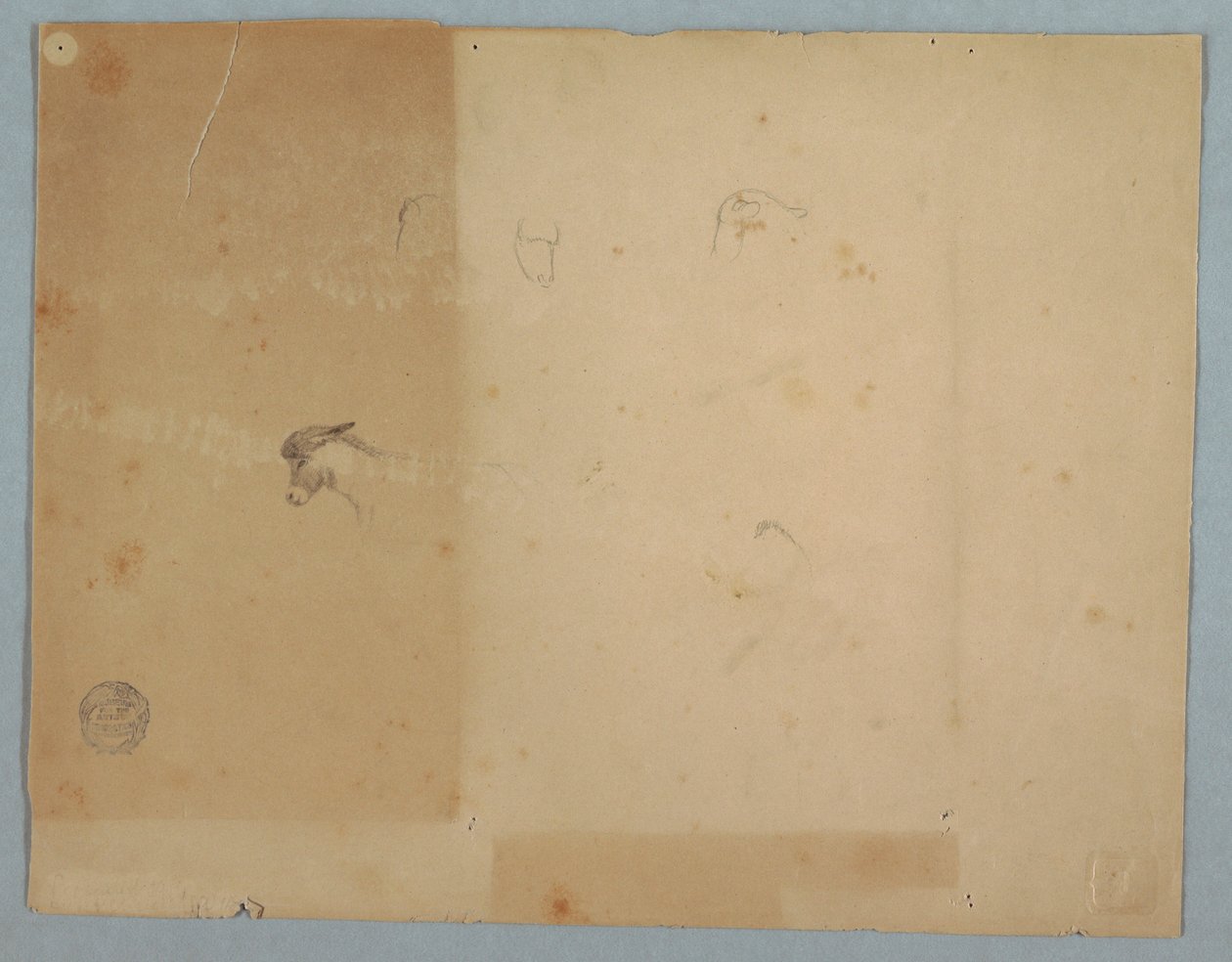 Disegno, dettagli di teste d